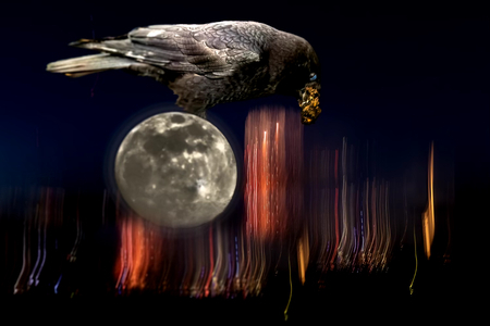 crow steals light for the moon